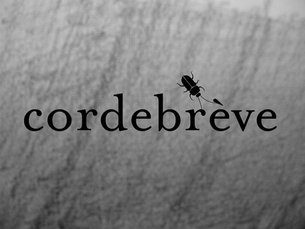 CORDE BREVE - Oubli