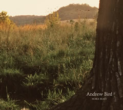 Andrew Bird, Noble Beast