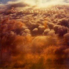 Bowerbirds, Upper Air