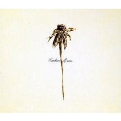 Patrick Watson, interview