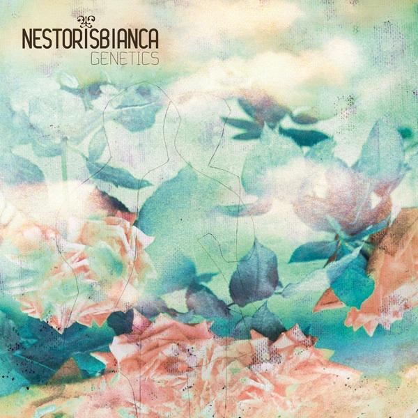 Nestorisbianca - Genetics