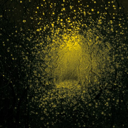 THE ANTLERS - Burst Apart