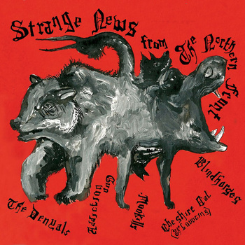 The Denyals, Gun Addiction, Mookills, Cheshire Cat (The Bouncing), Blindhorses.. (Rock'n'roll lillois). - Strange news from the northern front