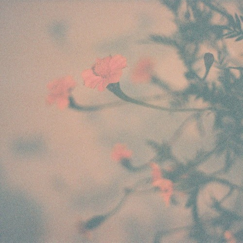 Santoré - Morning Cartoons