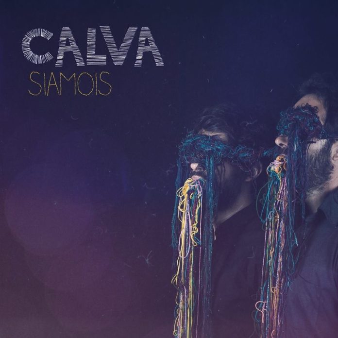 Calva - Siamois