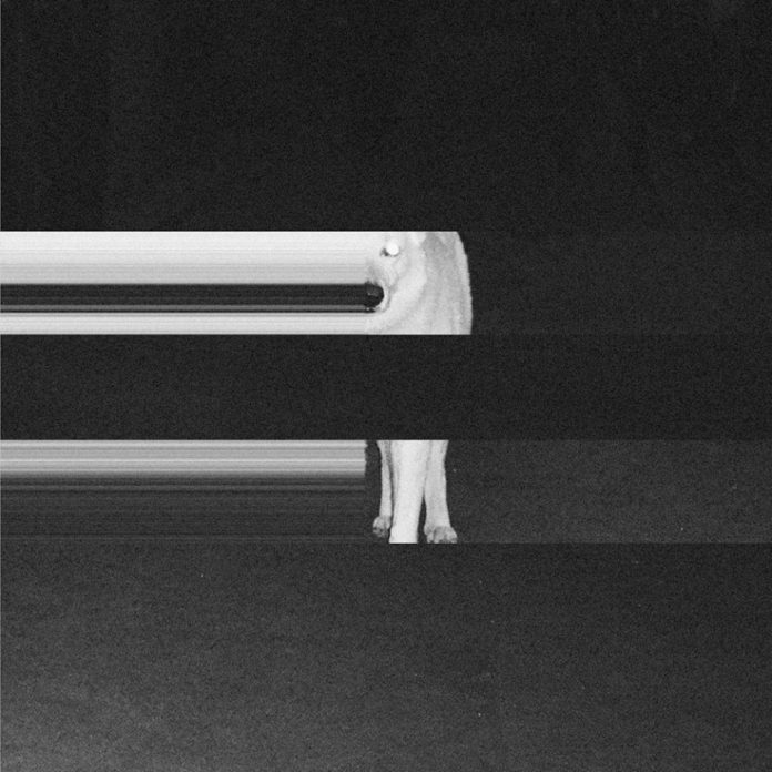 Night Riders - Meta