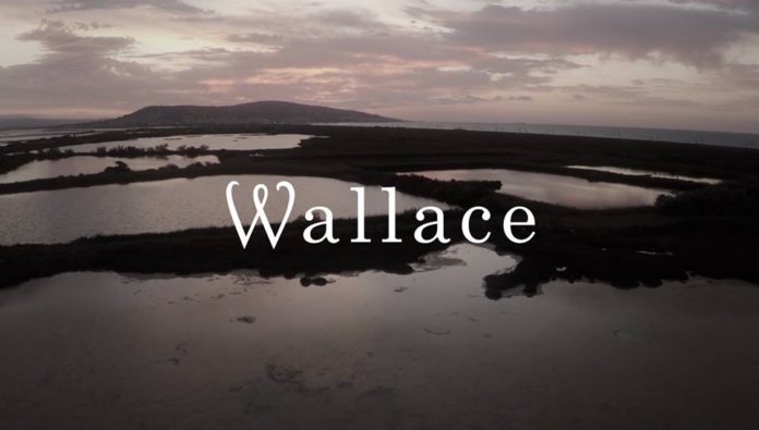 Wallace + High Square County à Sortie 13