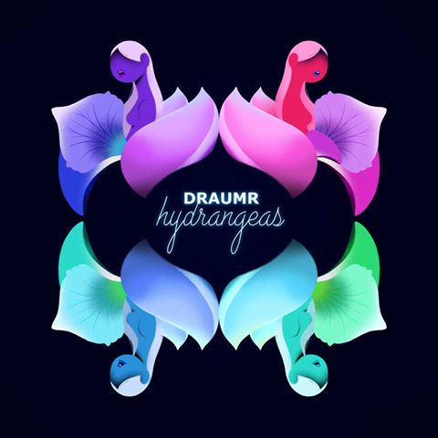 Draumr, Hydrangeas (clip)
