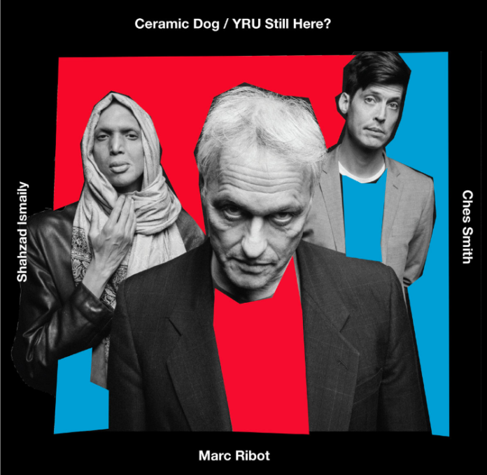Ceramic Dog - YRU Still here?