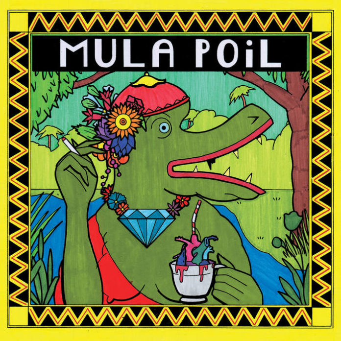 Mula poil