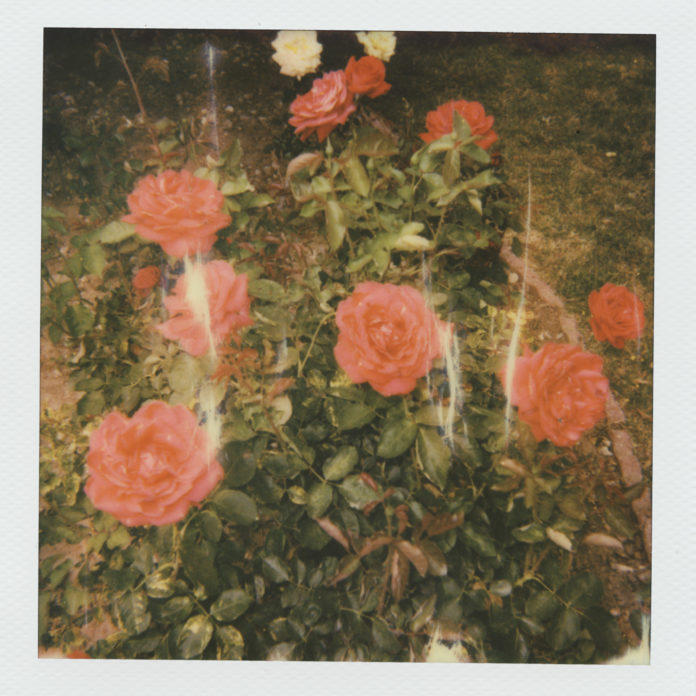 girl in red - cover EP _chapter 2_