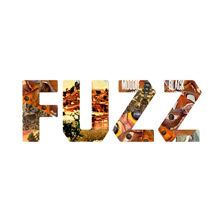 Moodie Black - Fuzz - Cover_Orchard