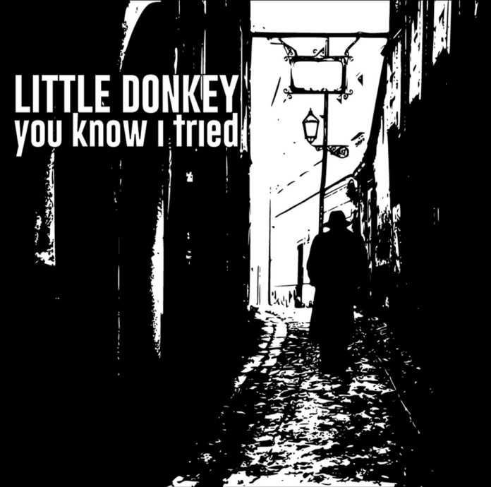 Little Donkey album