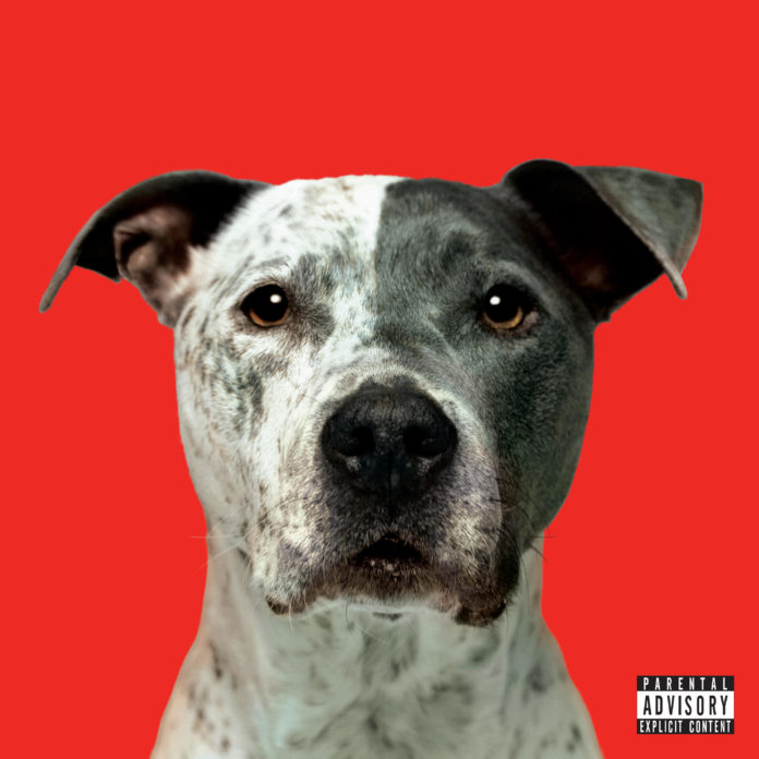 Cover album _Flight_