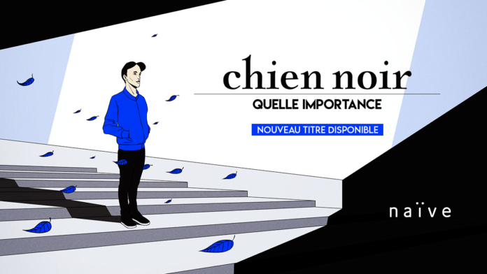 chien noir quelle importance