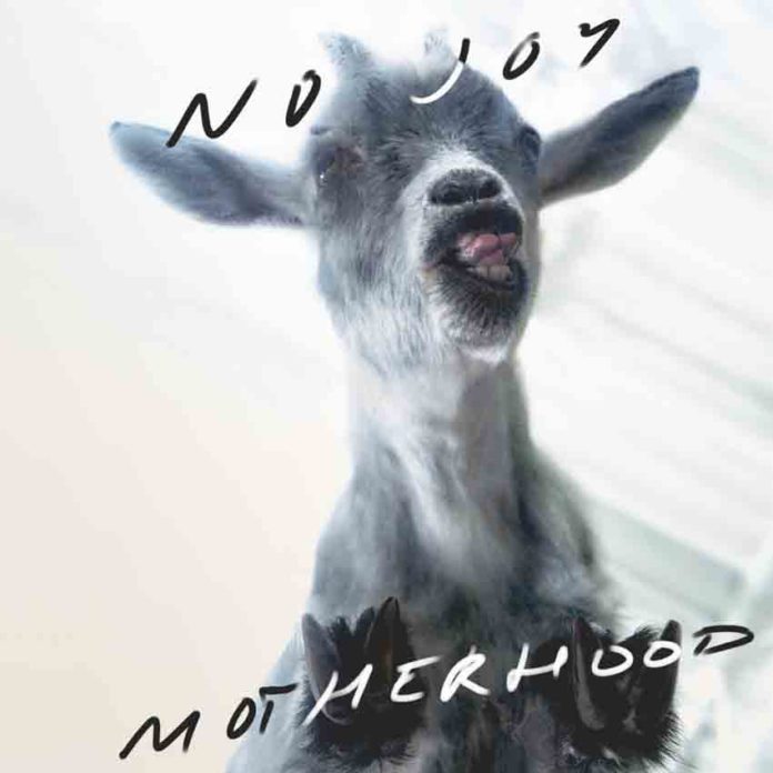 No Joy album