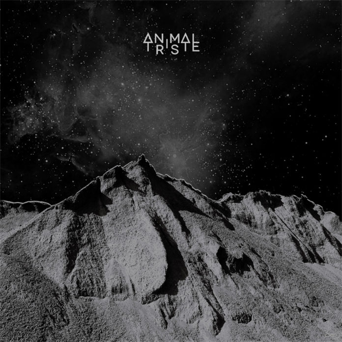 VISUEL ALBUM_ANIMAL TRISTE