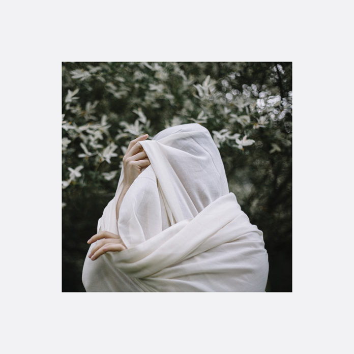 ZM-cover