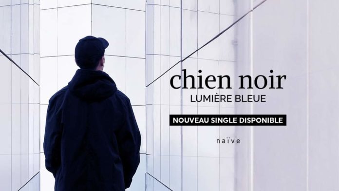 chien noir lumière bleue