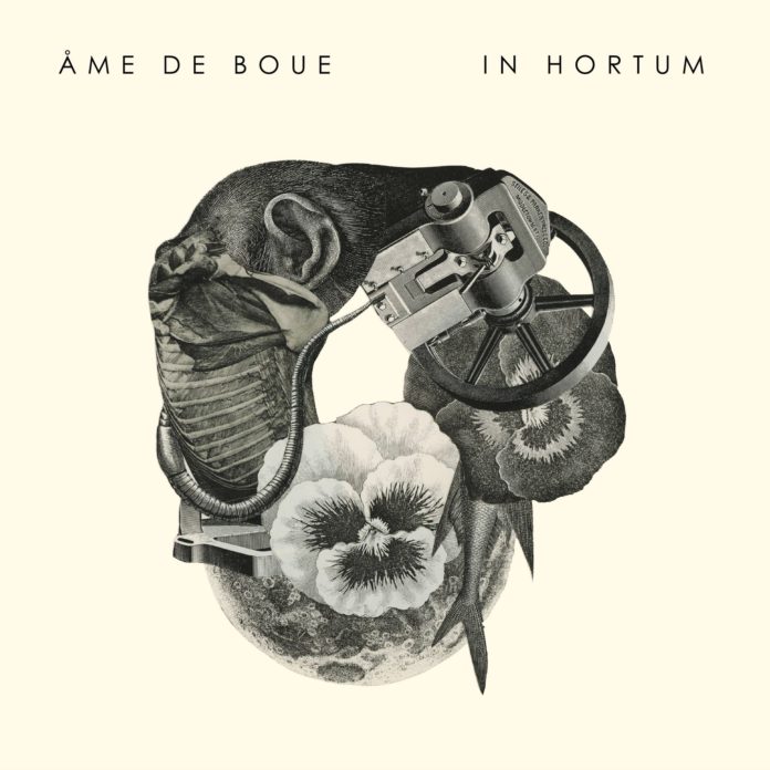 In Hortum - Cover A