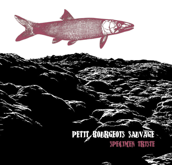 PBS Album