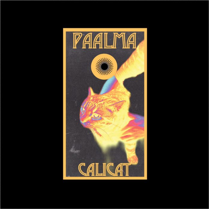 PAALMA_EP CALICAT