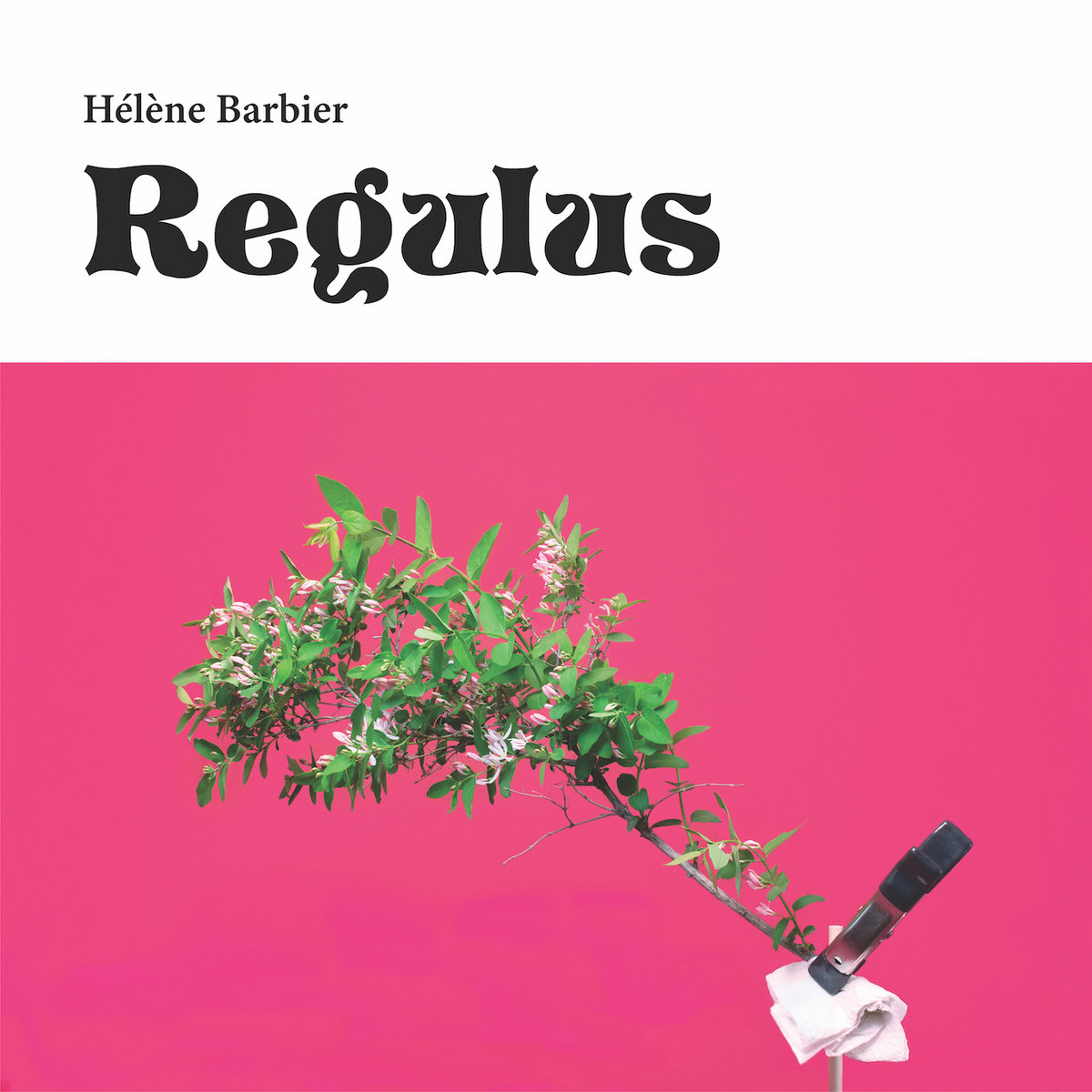 Hélène Barbier &quot;Regulus&quot; (Celluloïd Lunch/Michel Records, 18 juin 2021). -  MUZZART