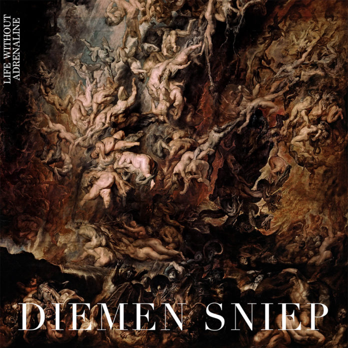 DS-cover