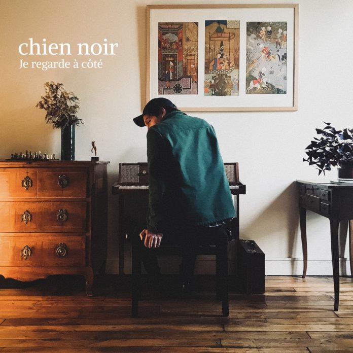 chien noir je regarde à côté