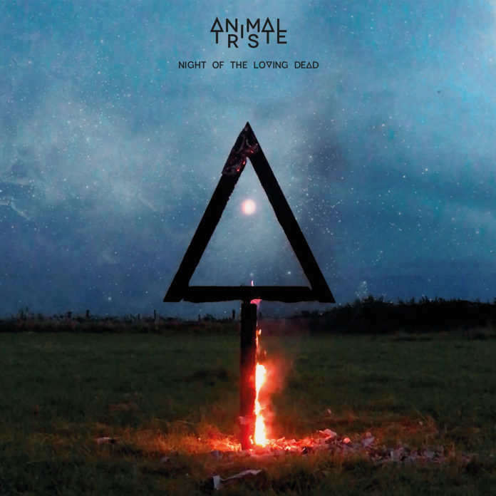 Cover-AnimalTriste-1500x1500