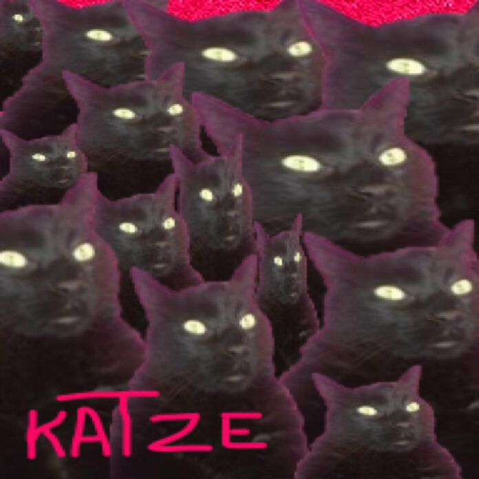 katze cd