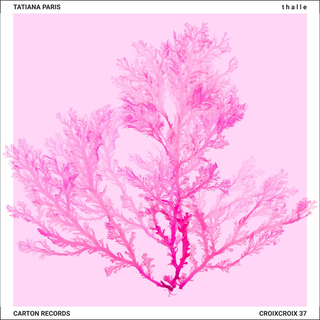 Tatiana Paris « t h a l l e » (CARTON RECORDS, 14 novembre 2025)