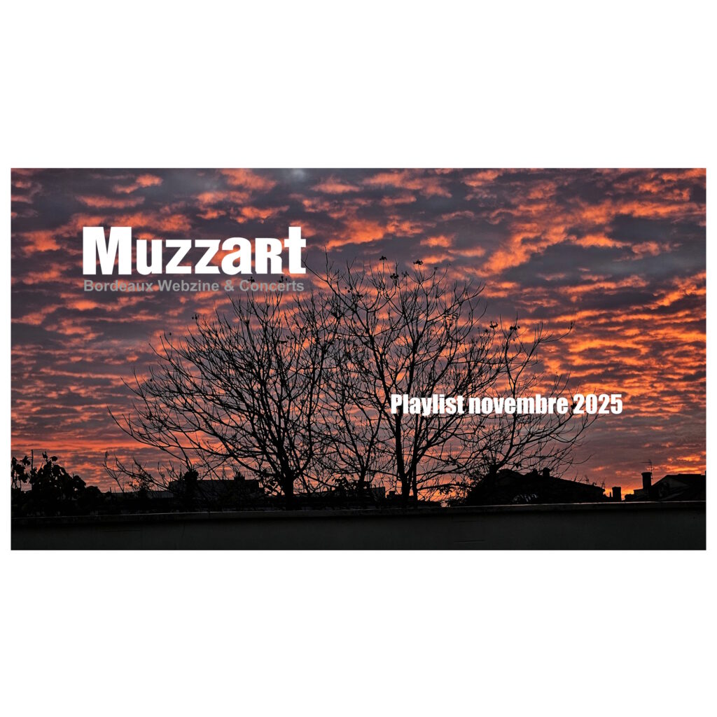 Playlist Muzzart #77 : novembre 2025