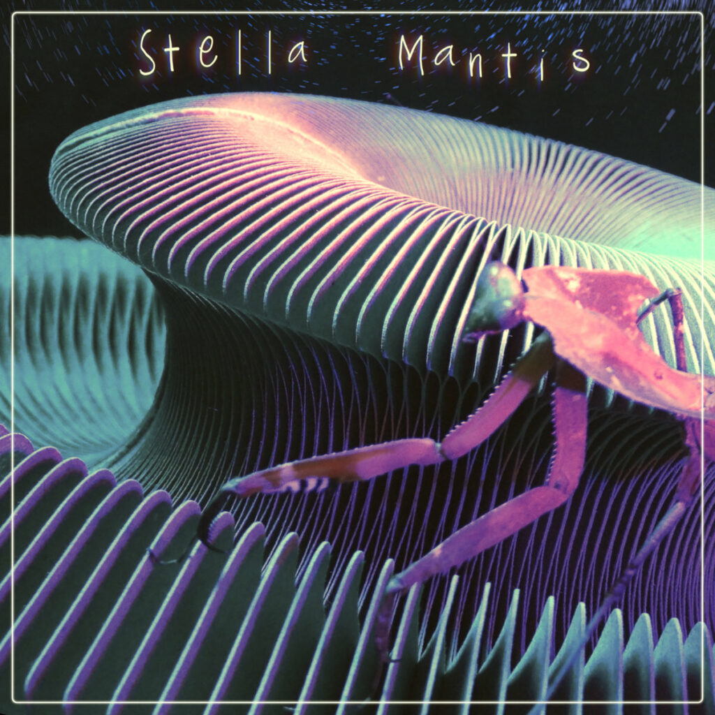 ANTIFER « Stella Mantis » (Icy Cold Records, 22 août 2026)