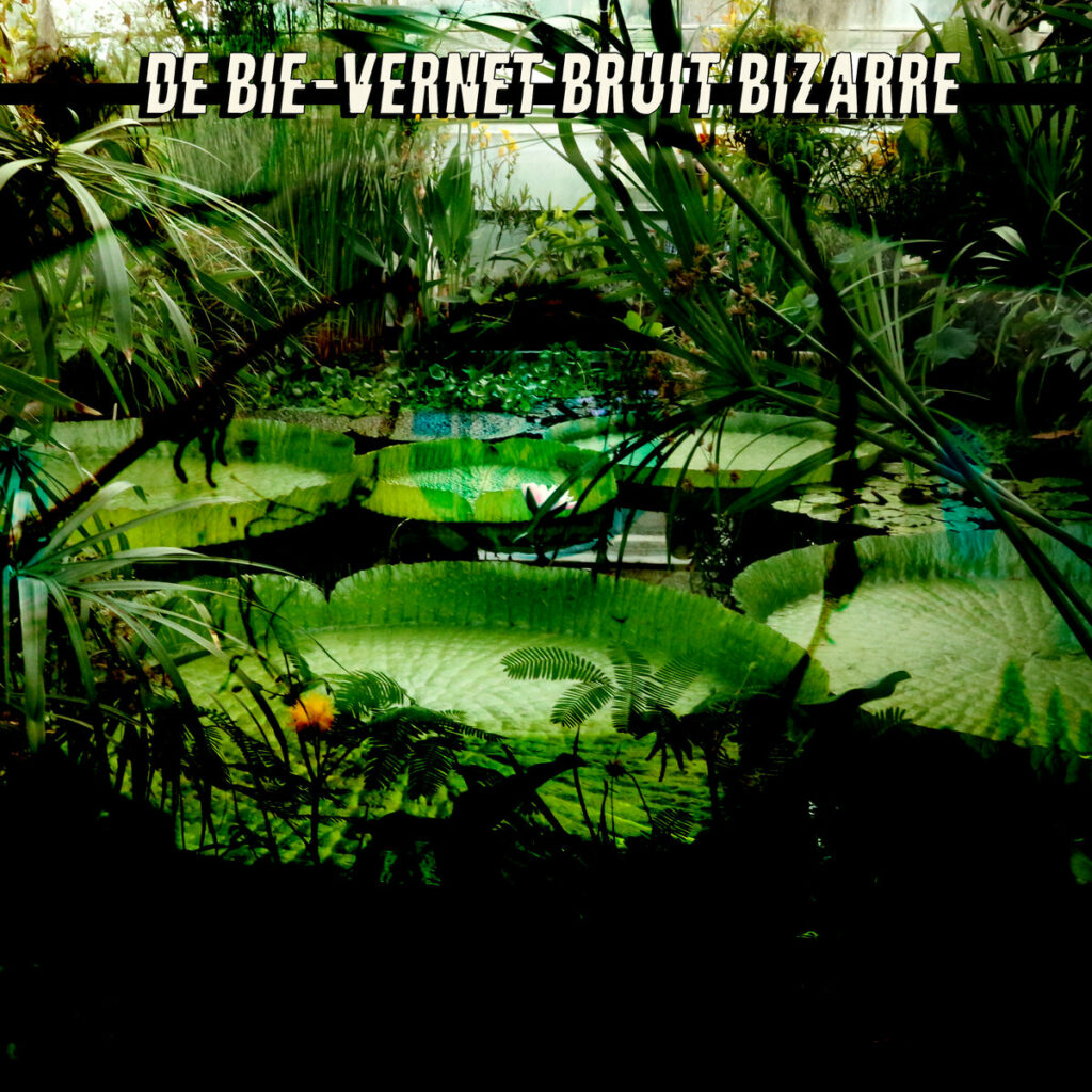 De Bie Vernet « Bruit Bizarre » (Super Apes Label, 18 juin 2026)